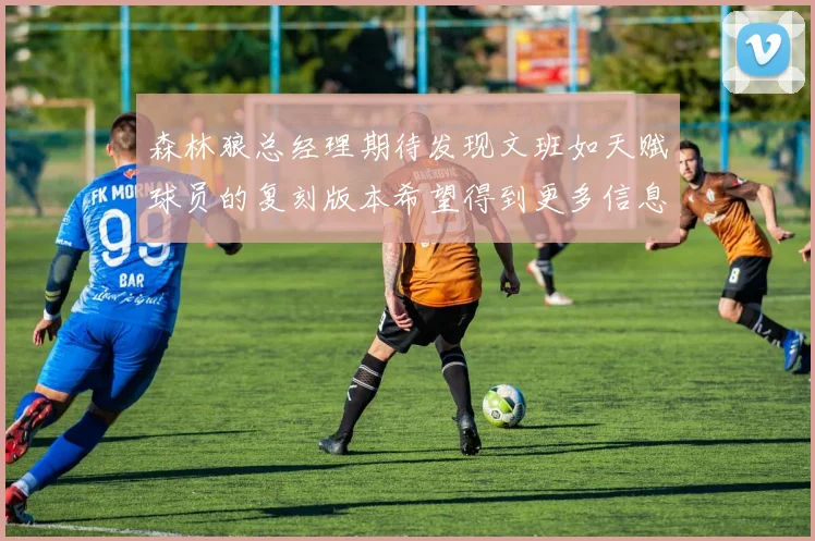 森林狼总经理期待发现文班如天赋球员的复刻版本希望得到更多信息