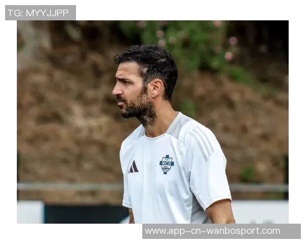 加斯佩里尼称法布雷加斯为科莫带来独特战术风格与比赛气质提升